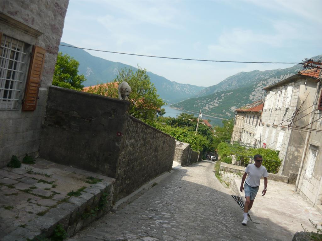 Rooms Banicevic Risan Bagian luar foto